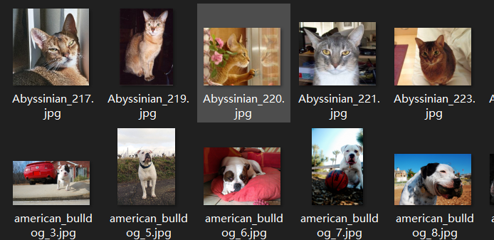 image-20230905094133498