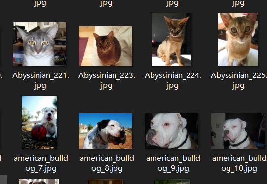 image-20230905102611381