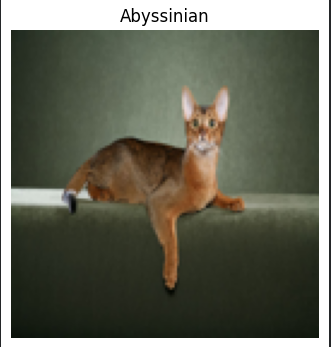 image-20230911111259668