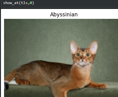 image-20230911141407799