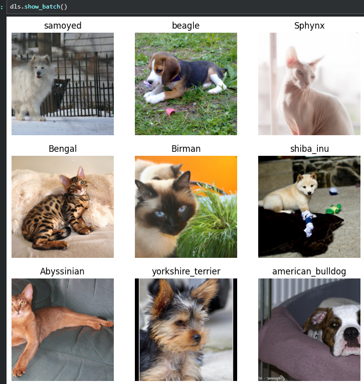 image-20230911144514492