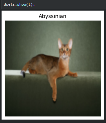 image-20230911161811145